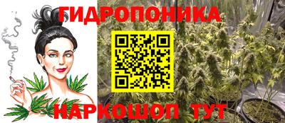 гидра Нальчик