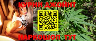 apvp Моздок