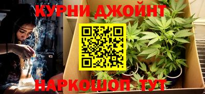 гидра Нальчик