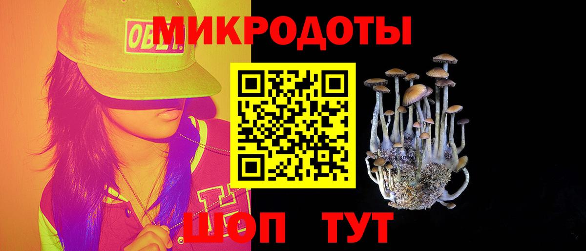 Псилоцибиновые грибы мухоморы  Псилоцибиновые грибы Magic Shrooms  купить   Топки  Вход с VPN 